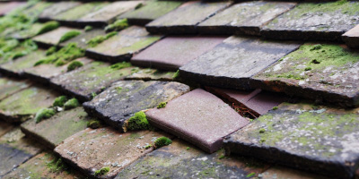 Frant roof repair costs